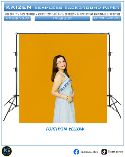 9ftx36ft Seamless Paper for Photography (KAIZEN Brand)